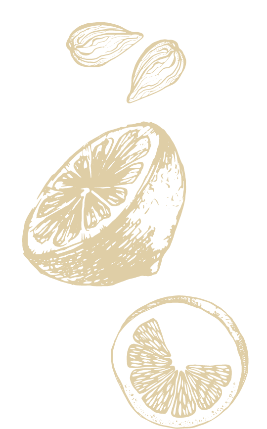 Simple line drawing of a halved lemon, a lemon slice, and two lemon pips on a plain white background—perfect for fans of fine flavour cocoa and thoughtfully crafted, single-origin chocolate. | Trinitario