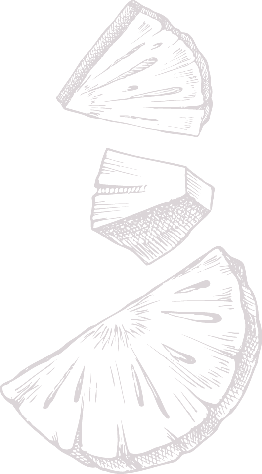 A greyscale line drawing of three pineapple pieces—two crescent-shaped slices and one small chunk—arranged vertically on a plain background, reminiscent of the attention to detail found in handcrafted chocolate. | Trinitario